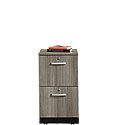 2-Drawer File Cabinet in Hudson Elm 424465