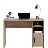 Oak Finish Computer Desk with Storage 429357