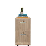 2-Drawer File Cabinet in Harvest Walnut 441407